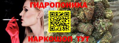 альфа пвп Волгодонск