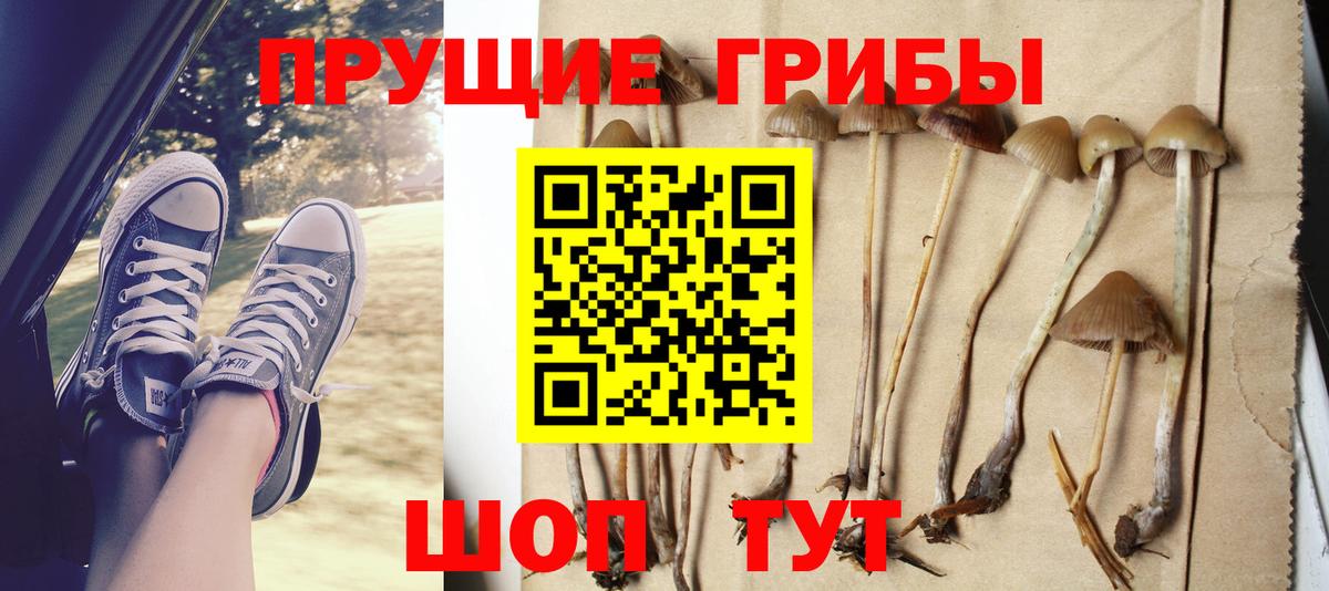 Корсаков  наркота  Вход с VPN  Галлюциногенные грибы ЛСД 